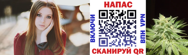 Шишки марихуана ГИДРОПОН Долгопрудный